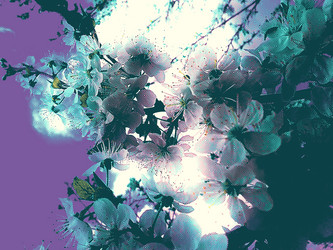 Similar image 6474992