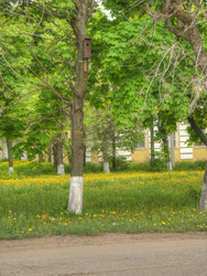 Similar image 6475019