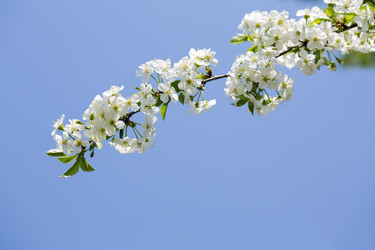 Similar image 6475037