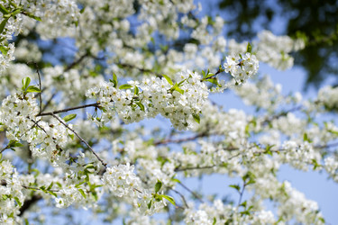 Similar image 6475047