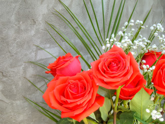 Similar image 6475051