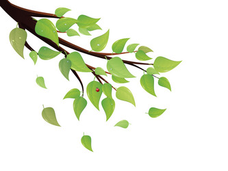 Similar image 6475056