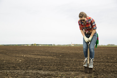 Similar image 6475103