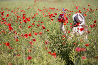 Similar image 6475144