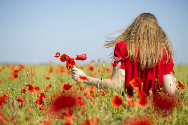 Similar image 6475148