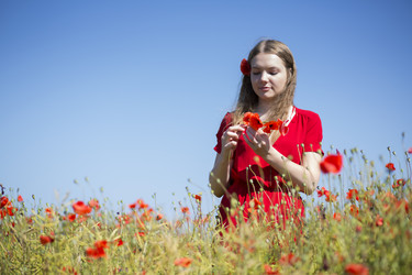 Similar image 6475155