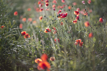 Similar image 6475156