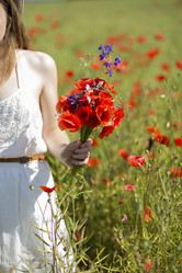 Similar image 6475161