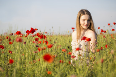 Similar image 6475165