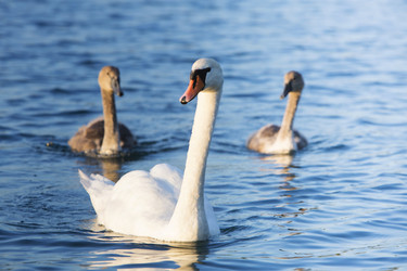 Similar image 6475166