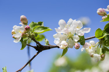 Similar image 6475168