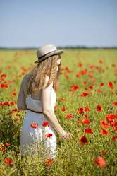 Similar image 6475183