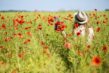 Similar image 6475194