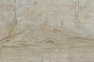 Similar image 6475205