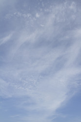 Similar image 6475211