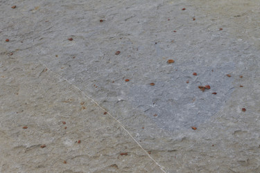 Similar image 6475216