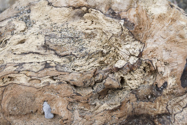 Similar image 6475221