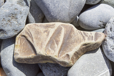 Similar image 6475225