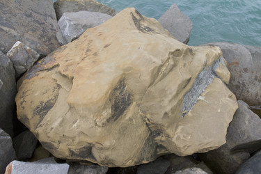 Similar image 6475296