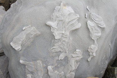 Similar image 6475298