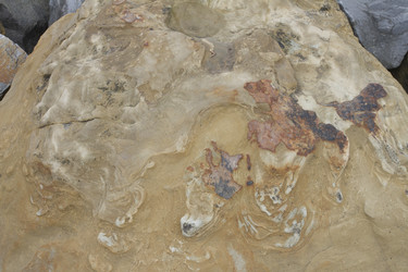 Similar image 6475306