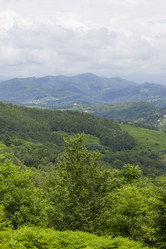 Similar image 6475328