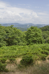 Similar image 6475330