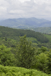 Similar image 6475333