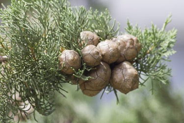 Similar image 6475334