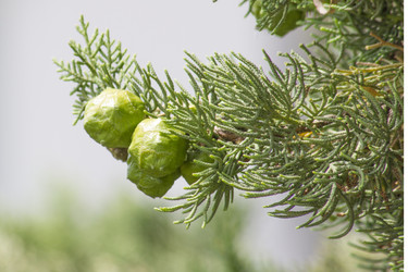 Similar image 6475336