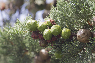 Similar image 6475337