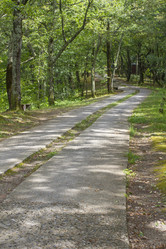 Similar image 6475338