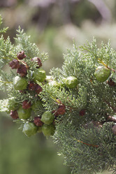 Similar image 6475344