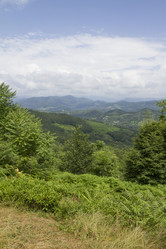 Similar image 6475345