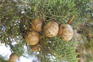 Similar image 6475349