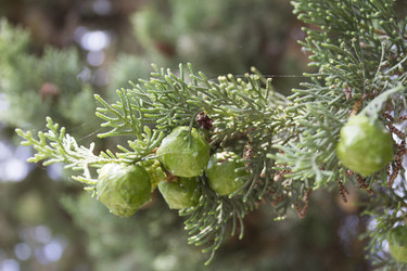 Similar image 6475350