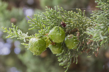 Similar image 6475351