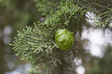 Similar image 6475352