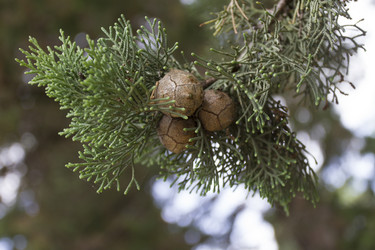 Similar image 6475353