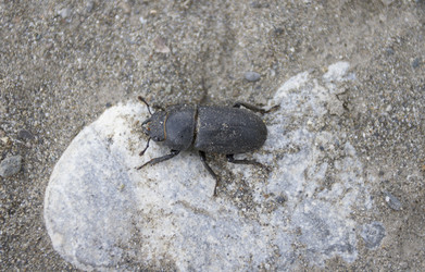 Similar image 6475361