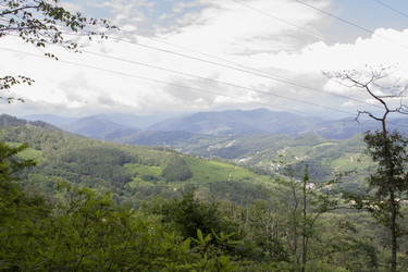 Similar image 6475370