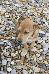 Similar image 6475372