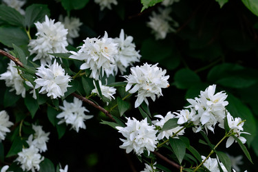 Similar image 6475413