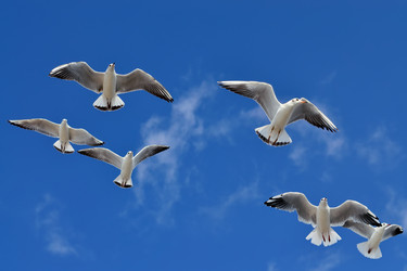 Similar image 6475415