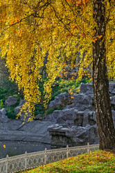 Similar image 6475426