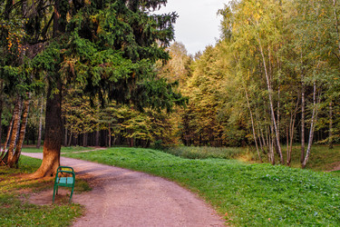 Similar image 6475434