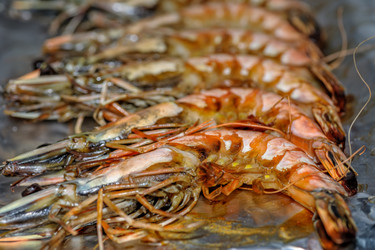 Similar image 6475437