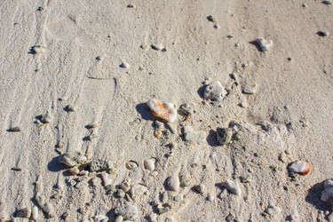 Similar image 6475440