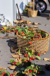 Similar image 6475441