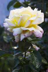 Similar image 6475491